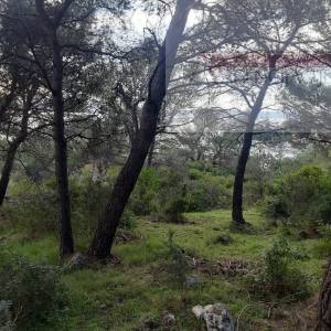 Sumartin građevinsko zemljište 750 m2 + poljoprivredno 4268 m2 uz more