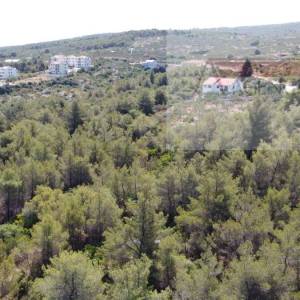 Supetar građevinsko zemljište 1446 m2 - 250m od mora