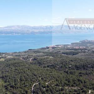 Sutivan 14628 m2 poljoprivredno zemljište masline i šipak - top!