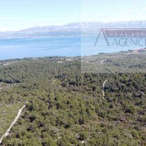 Sutivan 14628 m2 poljoprivredno zemljište masline i šipak - top!