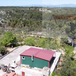 Sutivan 19713 m2 poljoprivredno zemljište + objekt 1/1