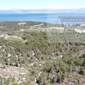 Sutivan 19713 m2 poljoprivredno zemljište + objekt 1/1