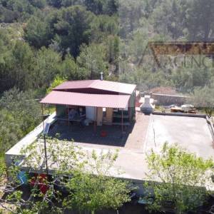 Sutivan 19713 m2 poljoprivredno zemljište + objekt 1/1