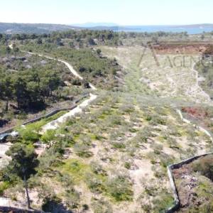 Sutivan 19713 m2 poljoprivredno zemljište + objekt 1/1