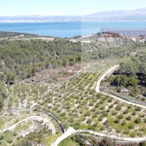 Sutivan 19713 m2 poljoprivredno zemljište + objekt 1/1