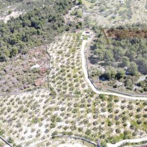 Sutivan 19713 m2 poljoprivredno zemljište + objekt 1/1