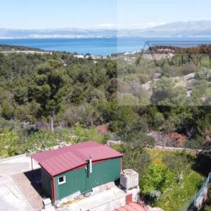 Sutivan 19713 m2 poljoprivredno zemljište + objekt 1/1