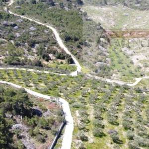 Sutivan 19713 m2 poljoprivredno zemljište + objekt 1/1