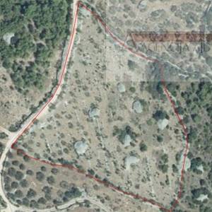 Sutivan Poljoprivredno zemljište 11070 m2 sa 120 maslina