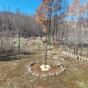 Svib Jasenak stambeno-poslovni objekt 403 m2 - intima - novo