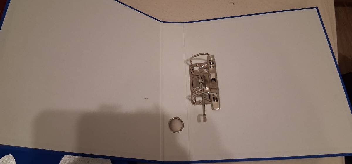 Tanki registrator bozićni