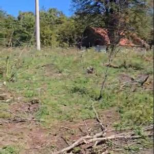 Tržić Primišljanski, zemljište 77.083m2, idealno za seoski turizam i ljubitelje prirode!