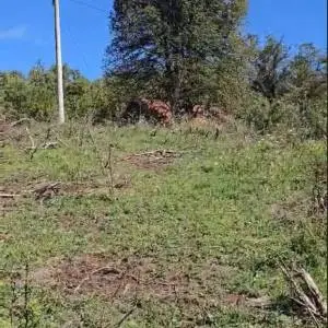 Tržić Primišljanski, zemljište 77.083m2, idealno za seoski turizam i ljubitelje prirode!