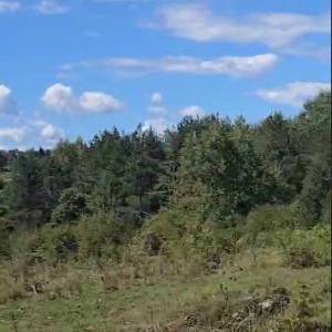 Tržić Primišljanski, zemljište 77.083m2, idealno za seoski turizam i ljubitelje prirode!