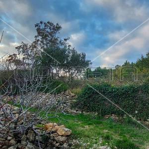 Tugare, Naklice, građevinsko i poljoprivredno zemljište 1.528 m2