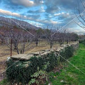 Tugare, Naklice, građevinsko i poljoprivredno zemljište 1.528 m2