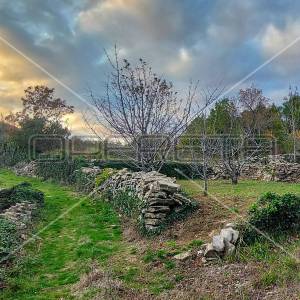 Tugare, Naklice, građevinsko i poljoprivredno zemljište 1.528 m2