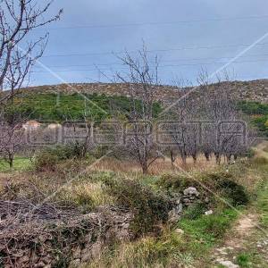 Tugare, Naklice, poljoprivredno zemljište, 332 m2