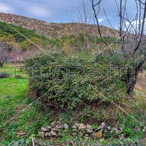 Tugare, Naklice, poljoprivredno zemljište, 332 m2