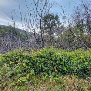 Tugare, Naklice, poljoprivredno zemljište, 332 m2