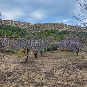 Tugare, Naklice, poljoprivredno zemljište, 332 m2