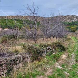 Tugare, Naklice, poljoprivredno zemljište, 332 m2