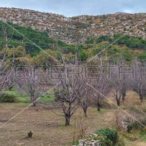 Tugare, Naklice, poljoprivredno zemljište, 332 m2