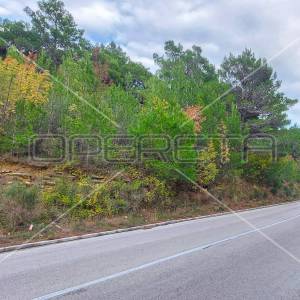 Tugare, Naklice, poljoprivredno zemljište 1.736 m2