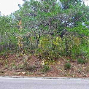 Tugare, Naklice, poljoprivredno zemljište 1.736 m2