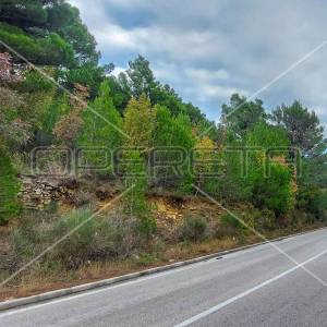 Tugare, Naklice, poljoprivredno zemljište 1.736 m2