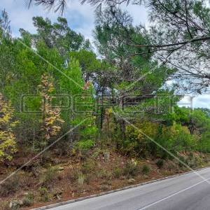 Tugare, Naklice, poljoprivredno zemljište 1.736 m2