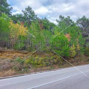 Tugare, Naklice, poljoprivredno zemljište 1.736 m2