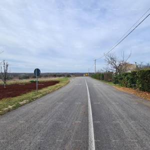 U okolici Barbana, Gočan.