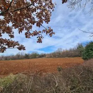 U okolici Barbana, Gočan.