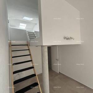 UMAG – Kuća s bazenom i tri odvojena apartmana