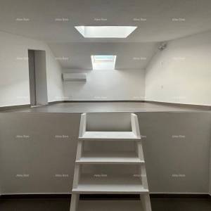 UMAG – Kuća s bazenom i tri odvojena apartmana