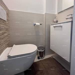 UMAG – Renovirana istarska kuća 400 m od plaže