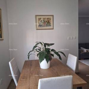 UMAG – stan u centru, 300 m od mora