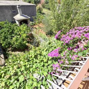 Uređena dvojna kuća s velikom okućnicom - Smiljevac, Zadar