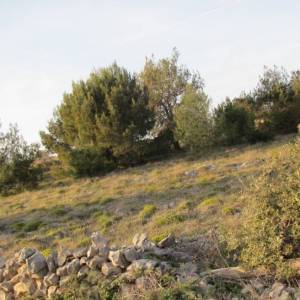 VIR Križica - građevinsko zemljište 5600 m2 HITNO I POVOLJNO!  (ID-428)