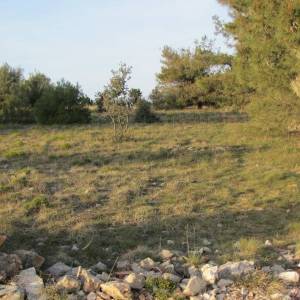 VIR Križica - građevinsko zemljište 5600 m2 HITNO I POVOLJNO!  (ID-428)