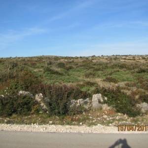 VIR Skalinice - poljoprivredno zemljište 4000 m2 ISPOD CIJENE!  (ID-426)