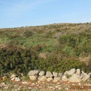 VIR Skalinice - poljoprivredno zemljište 4000 m2 ISPOD CIJENE!  (ID-426)