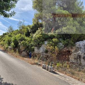 Vis uvala Rogačić kuća 121 m2 + zemljišta 36000 m2 - TOP PONUDA