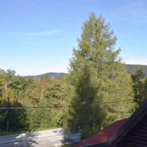 VRBOVSKO - Samostojeća planinska kuća