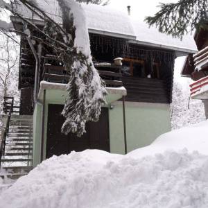 VRBOVSKO - Samostojeća planinska kuća