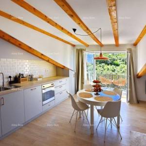 Vrsar, dva stana ukupne stambene površine  180,00 m²