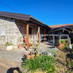 Zadar, Crno - Kamena kuća s konobom i velikom okućnicom