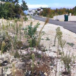 ZADAR, MASLENICA - PRILIKA! Pravilno građevinsko zemljište s pogledom!