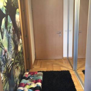 Zagreb-Savska Opatovina, 3S stan 66m2 s dva GPM-a, odlična lokacija